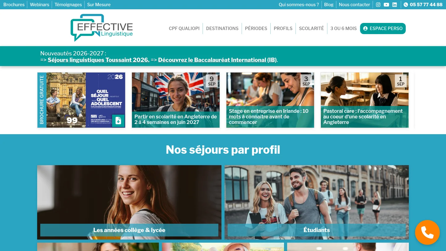 Effective Linguistique
